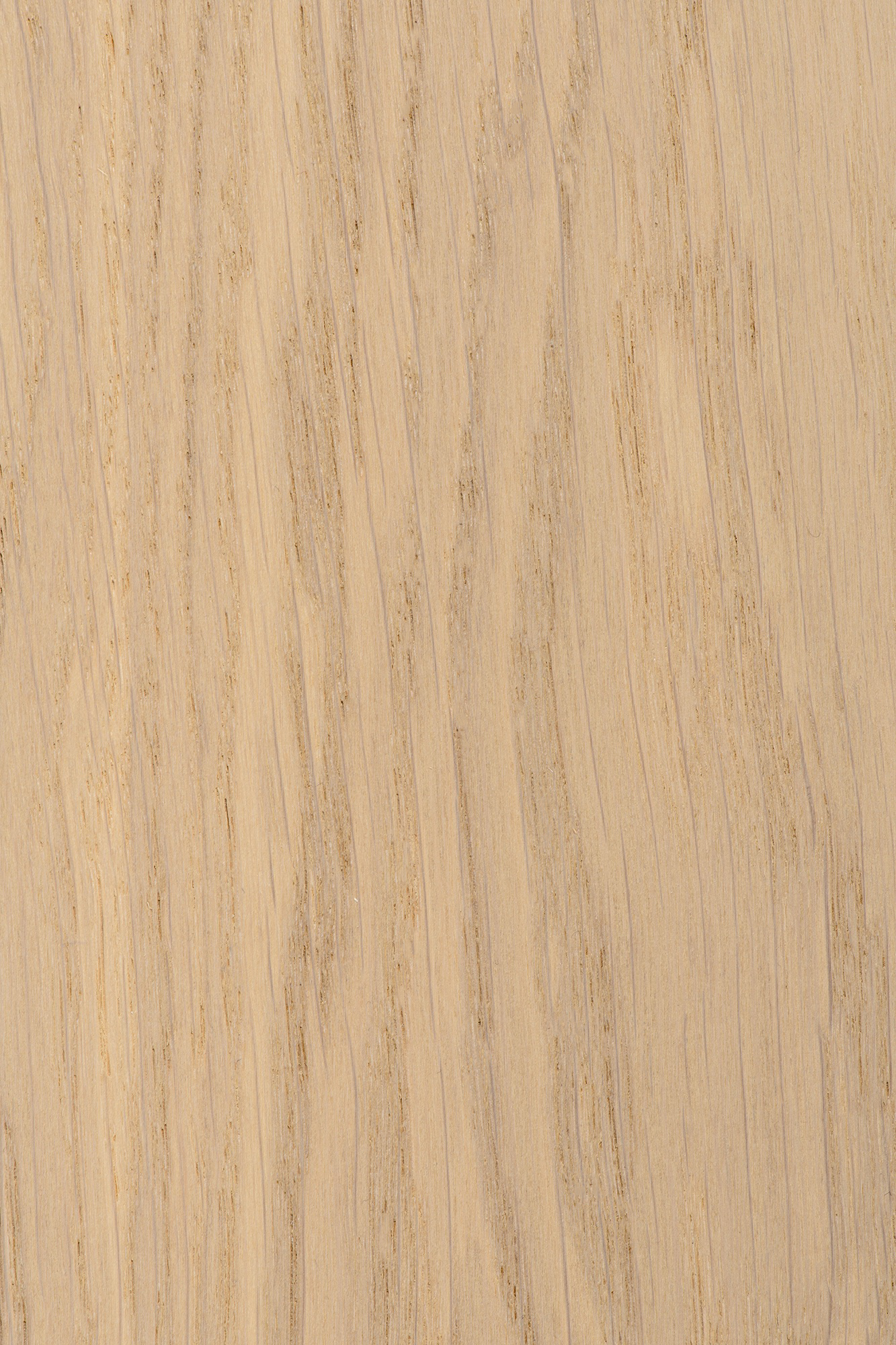 Parketti tammi chevron Moderno UV oil Porcelain