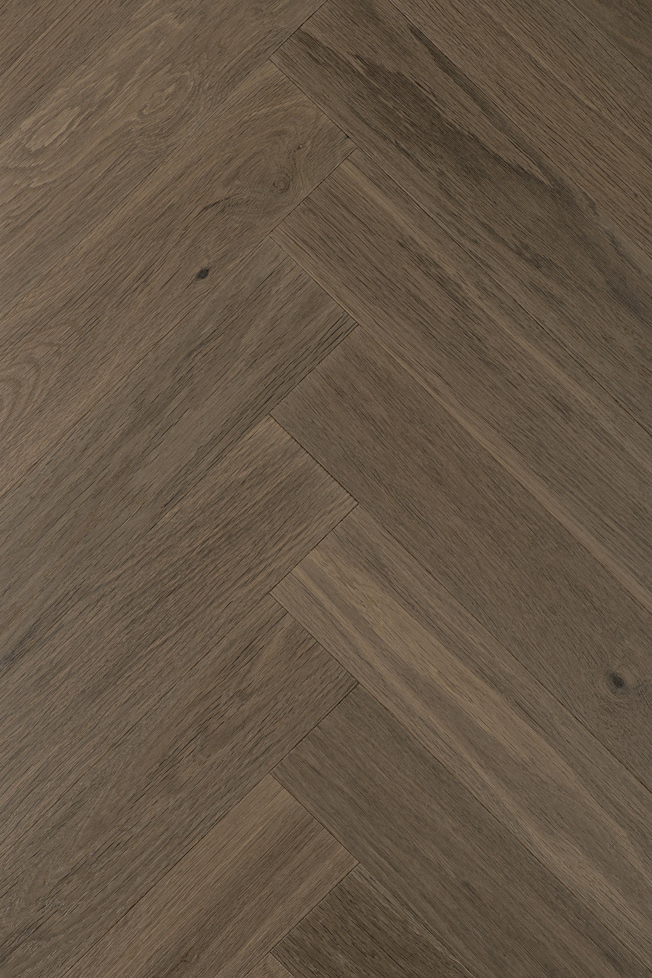 Parketti tammi kalanruoto Basica UV lacquer  Bella