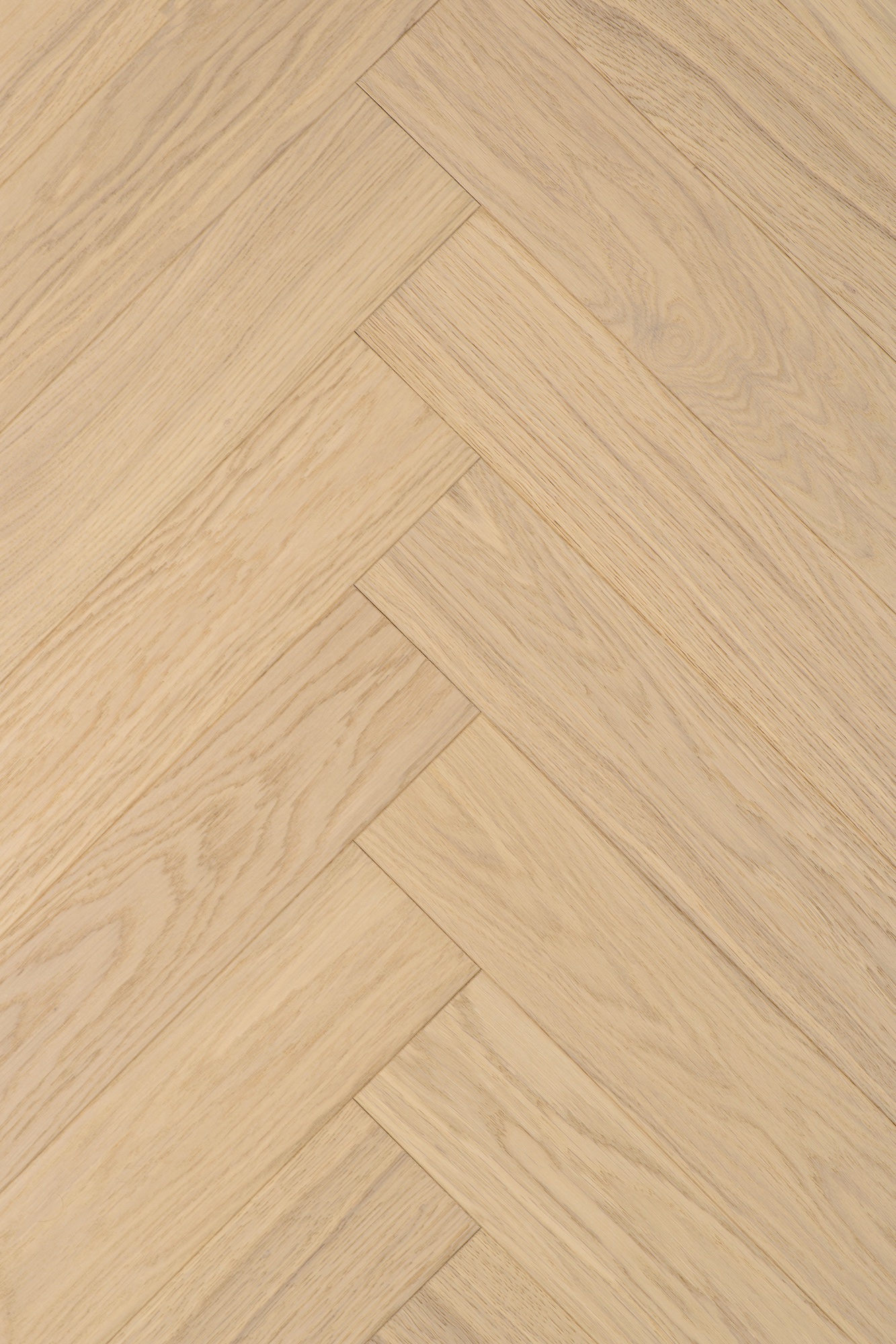 Parketti tammi kalanruoto Moderno UV oil Porcelain